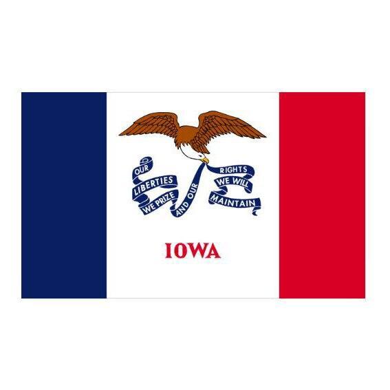 Vintage-Iowa-Flagge