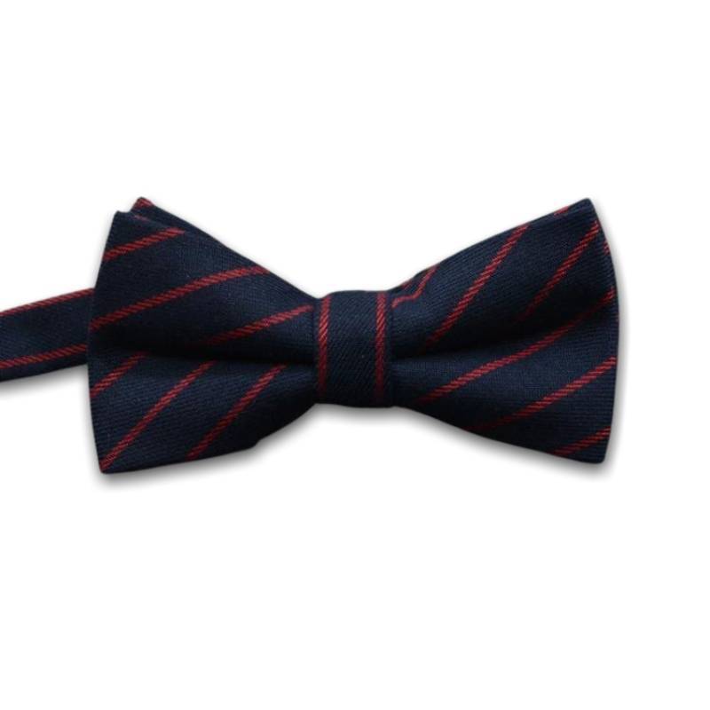 Vintage-Fliege für Herren